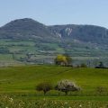 RANDONNÉE du 28.06 🗓