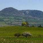 RANDONNÉE du 28.06 🗓